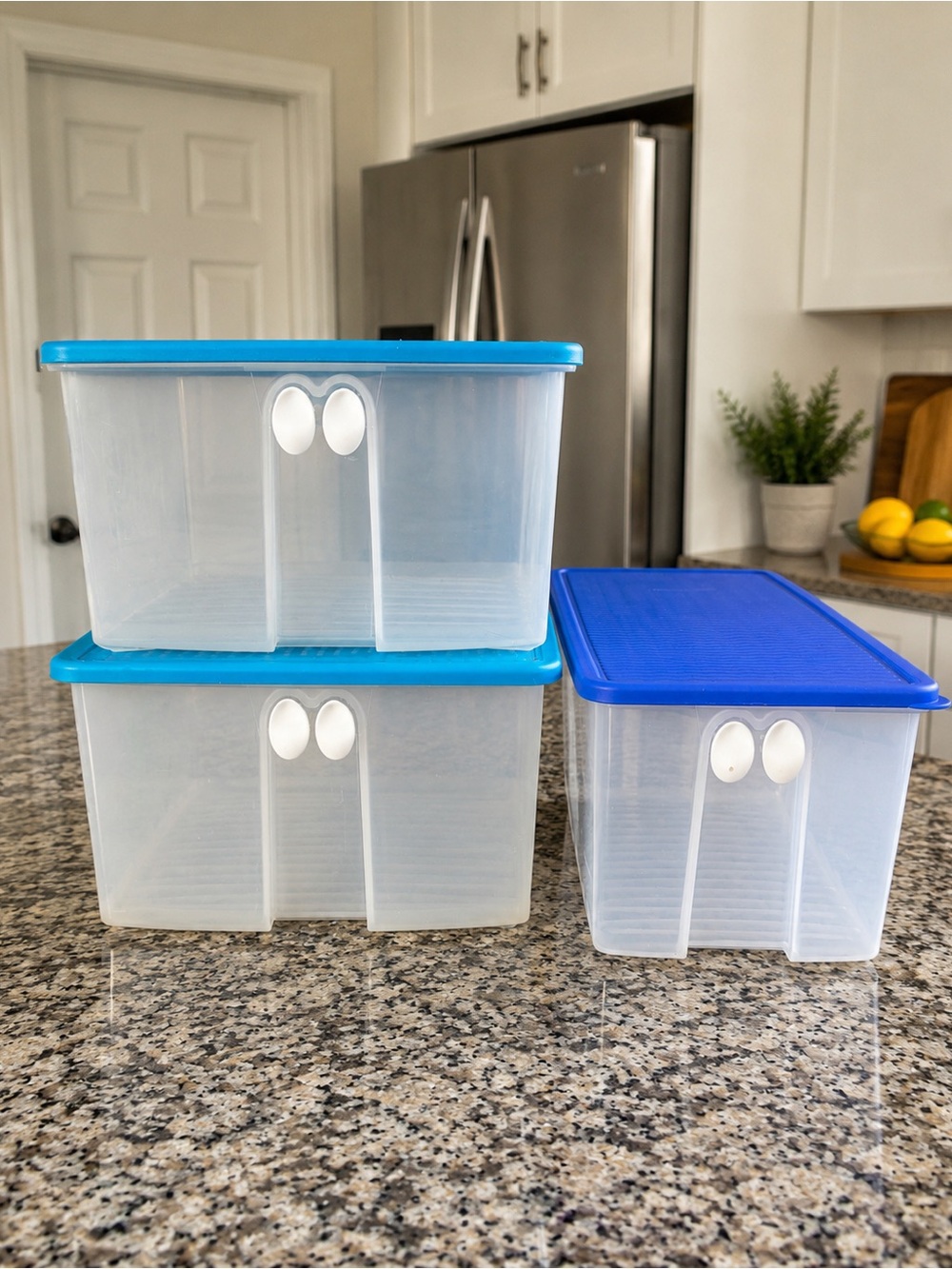 Fresh veggie storage containers 🥬✨